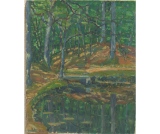 Les étangs de Rambouillet - Paysages d' Ile de France